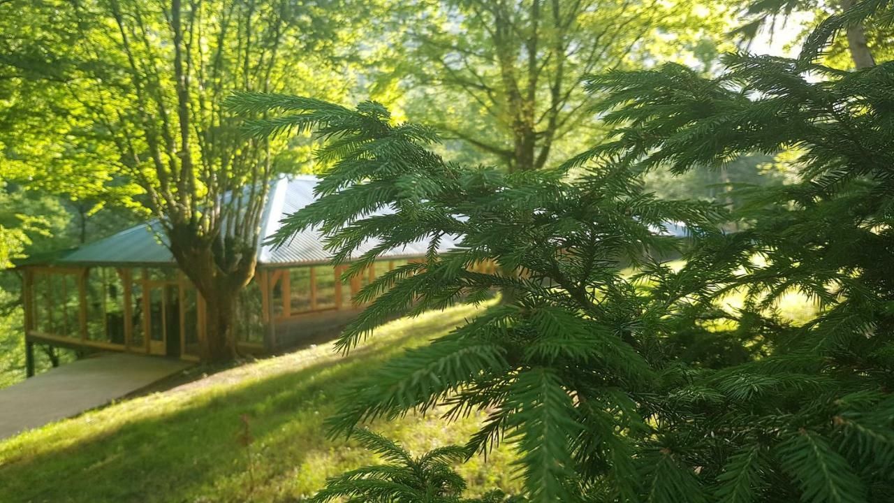 Tara Inn Resort Bastasi Εξωτερικό φωτογραφία
